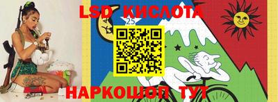 мет Кингисепп