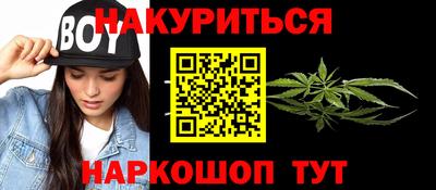 гидра Камышлов