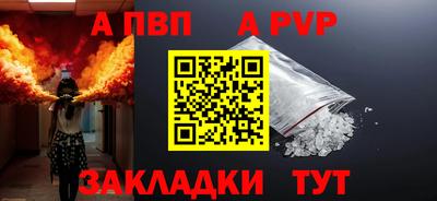 мет Кингисепп